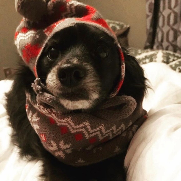 Meet your Posher, Kelli - Picture 2 of 2